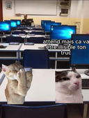 Tailwind>BootStrap
