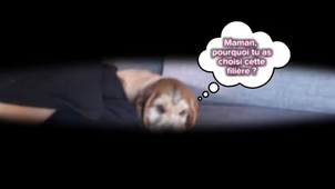 Lola_POIGNET_mp4