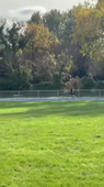 video alizee naudon 4B .mp4